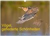Buchcover Vögel, Gefiederte Schönheiten (Wandkalender 2025 DIN A3 quer), CALVENDO Monatskalender