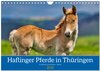 Buchcover Haflinger Pferde in Thüringen (Wandkalender 2025 DIN A4 quer), CALVENDO Monatskalender