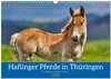 Buchcover Haflinger Pferde in Thüringen (Wandkalender 2025 DIN A3 quer), CALVENDO Monatskalender