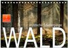 Buchcover Wald - mystische Spaziergänge (Tischkalender 2025 DIN A5 quer), CALVENDO Monatskalender