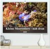 Buchcover Kleine Meerestiere - nah dran (hochwertiger Premium Wandkalender 2025 DIN A2 quer), Kunstdruck in Hochglanz