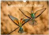 Buchcover Augenblicke in der Natur (Wandkalender 2025 DIN A4 quer), CALVENDO Monatskalender