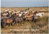 Buchcover Pferde - Andalusiens wilder Westen (Tischkalender 2025 DIN A5 quer), CALVENDO Monatskalender