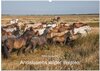 Buchcover Pferde - Andalusiens wilder Westen (Wandkalender 2025 DIN A2 quer), CALVENDO Monatskalender