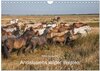 Buchcover Pferde - Andalusiens wilder Westen (Wandkalender 2025 DIN A4 quer), CALVENDO Monatskalender