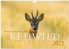 Buchcover Rehwild 2025 (Wandkalender 2025 DIN A4 quer), CALVENDO Monatskalender