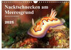 Buchcover Nacktschnecken am Meeresgrund (Wandkalender 2025 DIN A4 quer), CALVENDO Monatskalender