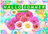 Buchcover Hallo Sommer - Artwork (Wandkalender 2025 DIN A2 quer), CALVENDO Monatskalender