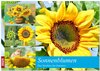 Buchcover Sonnenblumen. Das Strahlen des Sommers (Wandkalender 2025 DIN A3 quer), CALVENDO Monatskalender