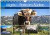 Buchcover Allgäu - Perle im Süden (Wandkalender 2025 DIN A4 quer), CALVENDO Monatskalender