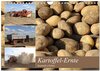 Buchcover Kartoffel-Ernte - hautnah erleben (Wandkalender 2025 DIN A4 quer), CALVENDO Monatskalender