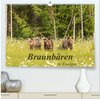 Buchcover Braunbären in Europa (hochwertiger Premium Wandkalender 2025 DIN A2 quer), Kunstdruck in Hochglanz