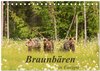 Buchcover Braunbären in Europa (Tischkalender 2025 DIN A5 quer), CALVENDO Monatskalender