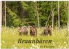 Buchcover Braunbären in Europa (Wandkalender 2025 DIN A2 quer), CALVENDO Monatskalender