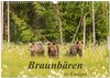 Buchcover Braunbären in Europa (Wandkalender 2025 DIN A3 quer), CALVENDO Monatskalender