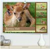 Buchcover Bambis Welt (hochwertiger Premium Wandkalender 2025 DIN A2 quer), Kunstdruck in Hochglanz