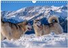 Buchcover Alaskan Malamute in seinem Element (Wandkalender 2025 DIN A4 quer), CALVENDO Monatskalender