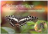 Buchcover achja?! Schmetterlinge, exotisch, bunt und wunderschön (Wandkalender 2025 DIN A2 quer), CALVENDO Monatskalender