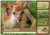 Buchcover Bambis Welt (Tischkalender 2025 DIN A5 quer), CALVENDO Monatskalender