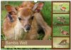 Buchcover Bambis Welt (Wandkalender 2025 DIN A3 quer), CALVENDO Monatskalender