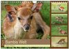 Buchcover Bambis Welt (Wandkalender 2025 DIN A4 quer), CALVENDO Monatskalender