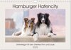 Buchcover Hamburger Hafencity - Unterwegs mit den Shelties Finn und Louis (Wandkalender 2025 DIN A4 quer), CALVENDO Monatskalender