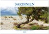 Sardinien Knorrige Bäume in urwüchsiger Landschaft (Wandkalender 2025 DIN A2 quer), CALVENDO Monatskalender width=