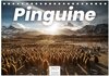 Buchcover Pinguine - Die sympathischen Frack-Träger (Tischkalender 2025 DIN A5 quer), CALVENDO Monatskalender