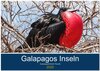 Buchcover Tierwelt auf Galapagos (Tischkalender 2025 DIN A5 quer), CALVENDO Monatskalender