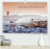 Buchcover Kegelrobben - Die Kegelrobben von Helgoland (hochwertiger Premium Wandkalender 2025 DIN A2 quer), Kunstdruck in Hochglan