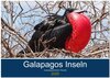 Buchcover Tierwelt auf Galapagos (Wandkalender 2025 DIN A2 quer), CALVENDO Monatskalender