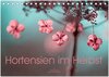 Buchcover Hortensien im Herbst (Tischkalender 2025 DIN A5 quer), CALVENDO Monatskalender