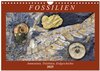 Buchcover Fossilien - Ammoniten, Trilobiten, Erdgeschichte (Wandkalender 2025 DIN A4 quer), CALVENDO Monatskalender
