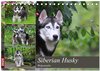 Buchcover Siberian Husky - Welpenstube (Tischkalender 2025 DIN A5 quer), CALVENDO Monatskalender
