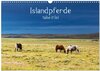 Buchcover Islandpferde take it Isi (Wandkalender 2025 DIN A3 quer), CALVENDO Monatskalender