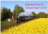 Buchcover Eisenbahnen in Ostsachsen 2025 (Wandkalender 2025 DIN A2 quer), CALVENDO Monatskalender