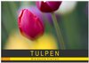 Buchcover Tulpen - die bunte Vielfalt (Wandkalender 2025 DIN A2 quer), CALVENDO Monatskalender