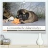 Buchcover Germanische Bärenbabys (hochwertiger Premium Wandkalender 2025 DIN A2 quer), Kunstdruck in Hochglanz