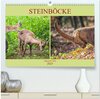 Buchcover Steinböcke - imposante Tiere (hochwertiger Premium Wandkalender 2025 DIN A2 quer), Kunstdruck in Hochglanz