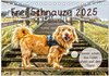 Buchcover Frei Schnauze 2025. Was Hunde am liebsten sagen würden (Tischkalender 2025 DIN A5 quer), CALVENDO Monatskalender