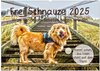 Buchcover Frei Schnauze 2025. Was Hunde am liebsten sagen würden (Wandkalender 2025 DIN A2 quer), CALVENDO Monatskalender