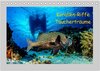 Buchcover Korallen-Riffe Taucherträume (Tischkalender 2025 DIN A5 quer), CALVENDO Monatskalender