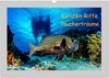 Buchcover Korallen-Riffe Taucherträume (Wandkalender 2025 DIN A3 quer), CALVENDO Monatskalender