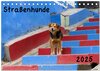 Buchcover Straßenhunde 2025 (Tischkalender 2025 DIN A5 quer), CALVENDO Monatskalender