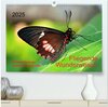 Buchcover Fliegende Wunderwesen. Schmetterlinge weltweit, ganz nah (hochwertiger Premium Wandkalender 2025 DIN A2 quer), Kunstdruc