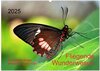 Buchcover Fliegende Wunderwesen. Schmetterlinge weltweit, ganz nah (Wandkalender 2025 DIN A2 quer), CALVENDO Monatskalender