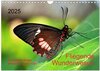 Buchcover Fliegende Wunderwesen. Schmetterlinge weltweit, ganz nah (Wandkalender 2025 DIN A4 quer), CALVENDO Monatskalender