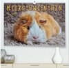 Buchcover Meerschweinchen - so süß (hochwertiger Premium Wandkalender 2025 DIN A2 quer), Kunstdruck in Hochglanz