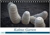 Buchcover Kaktus Garten Lanzarote (Tischkalender 2025 DIN A5 quer), CALVENDO Monatskalender