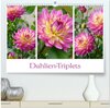 Buchcover Dahlien-Triplets (hochwertiger Premium Wandkalender 2025 DIN A2 quer), Kunstdruck in Hochglanz